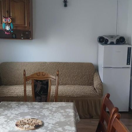 Câmpulung MoldovenescCasa Mアパートメント エクステリア 写真